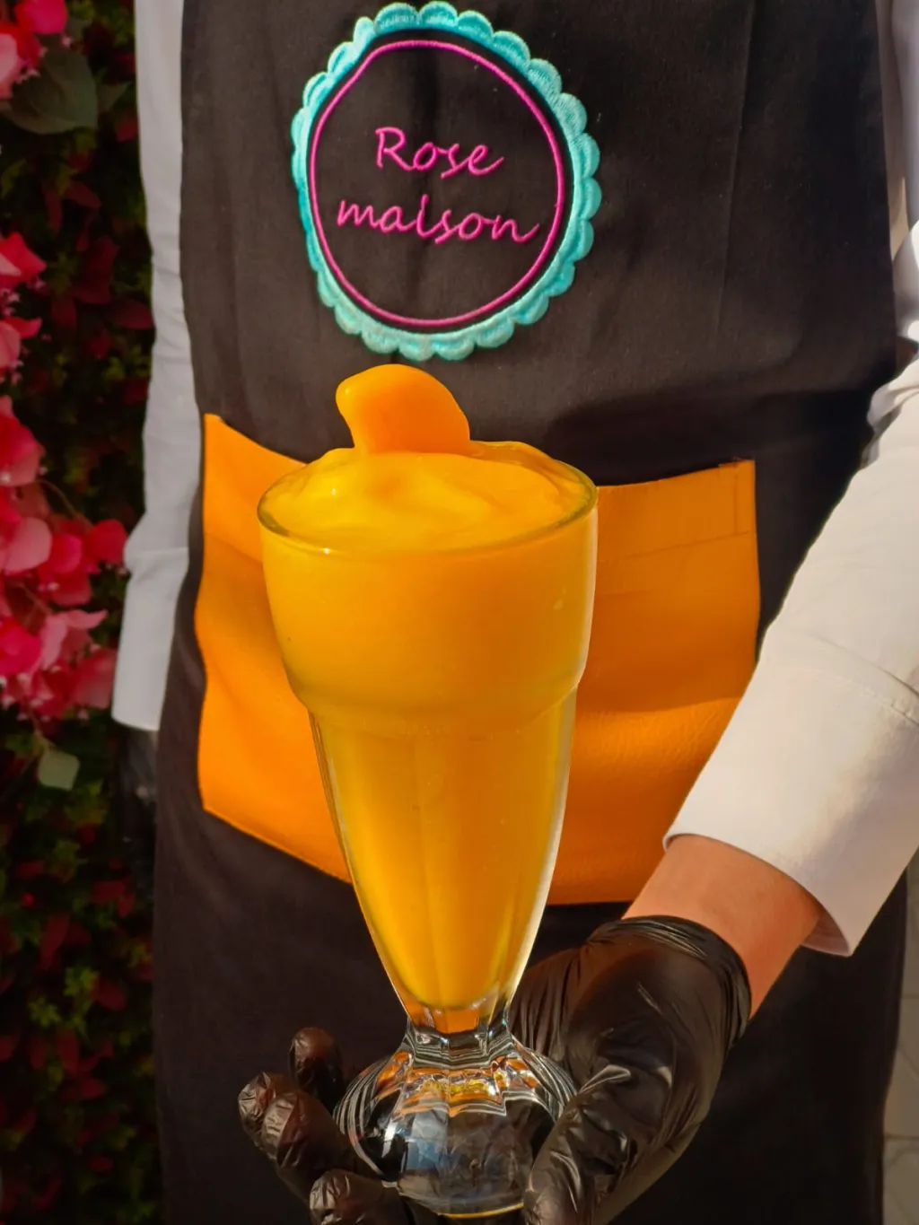 Mango juice cl 260